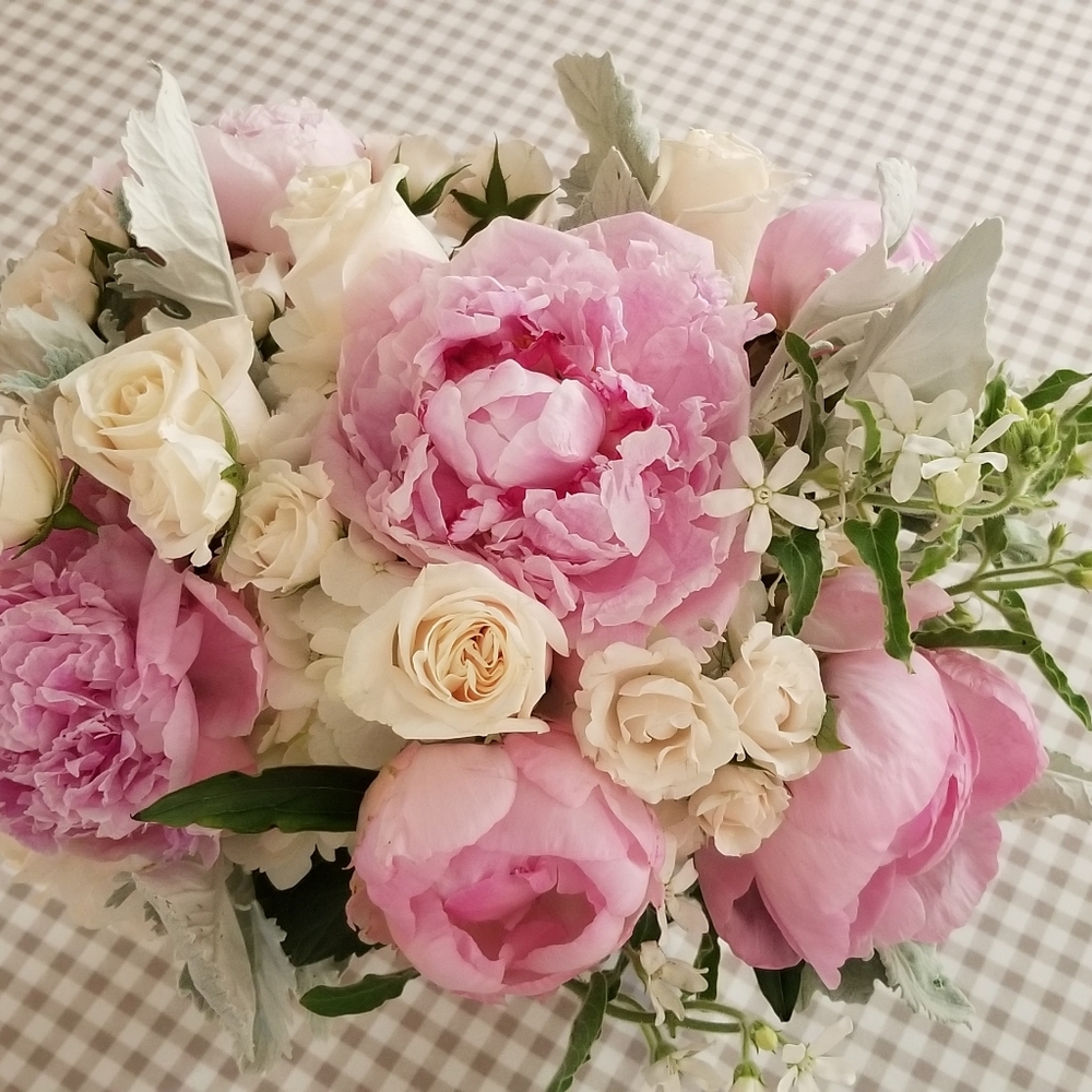 Meet your Posher, Misty